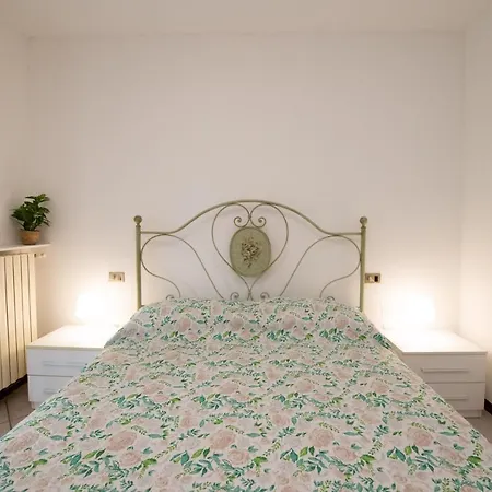 Orchidea